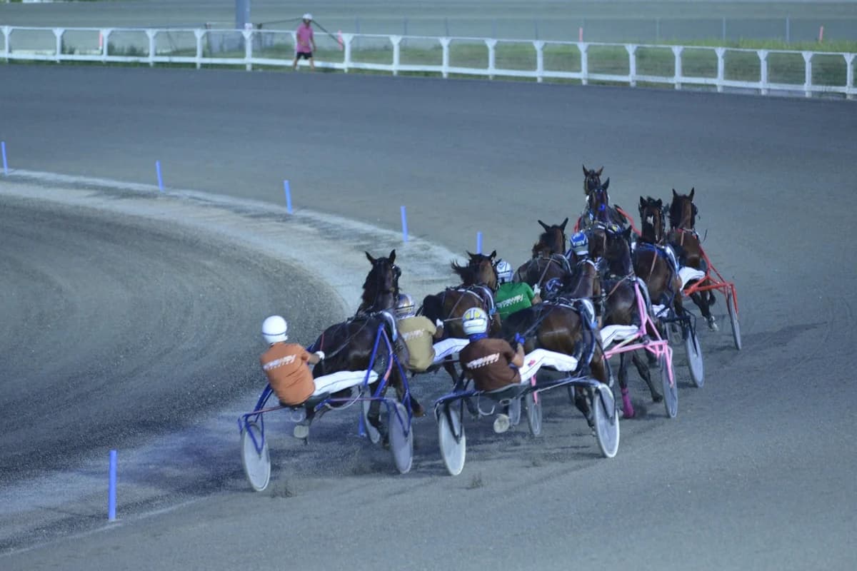 Seconda giornata di qualificazioni per il Campionato Italiano Gentlem all’ippodromo San Paolo