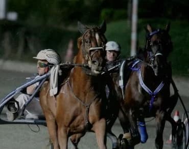 Il trotto del “San Paolo” nel segno dei miti del ciclismo