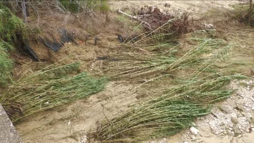 Alluvione 2024. In arrivo oltre 6 milioni di euro per famiglie e imprese. Emanati i decreti di liquidazione per chi ha subito danni