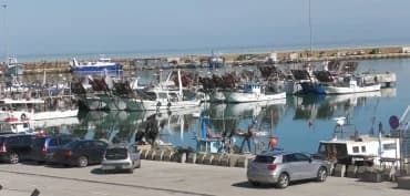 ZES AGRICOLA, ESTESO IL CREDITO D’IMPOSTA ALLE IMPRESE MARCHIGIANE