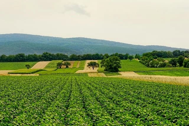 Insediamento giovani agricoltori, definiti criteri e risorse. In arrivo il bando
